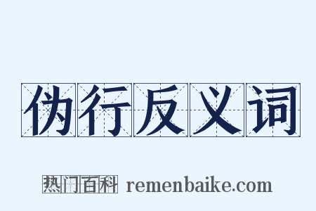 伪行反义词是什么意思的图片